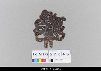 藏品(中國湖北皮影戲偶頭-淨)的圖片